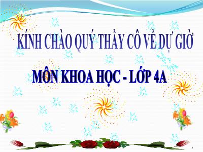 Bài giảng dự giờ Khoa học Khối 4 - Bài 17: Phòng tránh tai nạn đuối nước