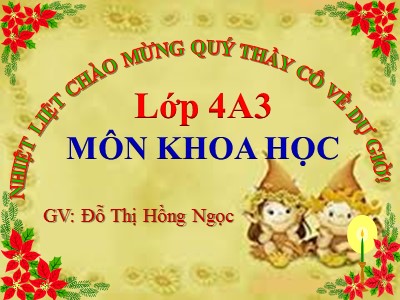 Bài giảng Khoa học Lớp 4 - Bài 17: Phòng tránh tai nạn đuối nước - Đỗ Thị Hồng Ngọc