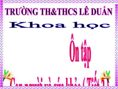 Bài giảng Khoa học Lớp 4 - Bài 18+19: Ôn tập Con người và sức khỏe (Tiết 2) - Trường Tiểu học Lê Duẩn