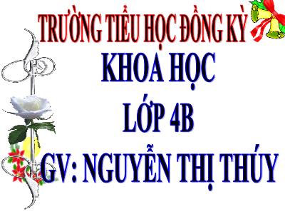 Bài giảng Khoa học Lớp 4 - Bài 21: Ba thể của nước - Nguyễn Thị Thúy