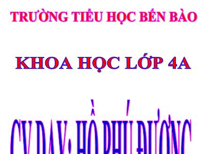 Bài giảng Khoa học Lớp 4 - Bài 24: Nước cần cho sự sống - Hồ Phú Đương