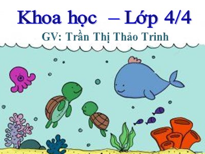 Bài giảng Khoa học Lớp 4 - Bài 26: Nguyên nhân làm nước bị ô nhiễm - Trần Thị Thảo Trinh