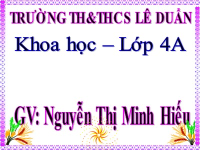 Bài giảng Khoa học Lớp 4 - Bài 33+34: Ôn tập học kì I - Nguyễn Thị Minh Hiếu