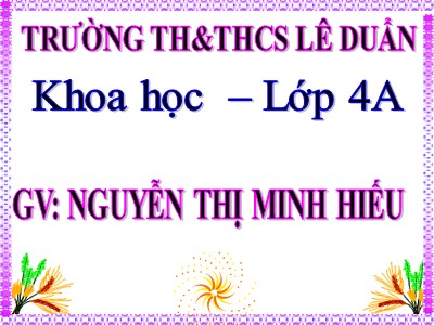 Bài giảng Khoa học Lớp 4 - Bài 35: Không khí cần cho sự cháy - Nguyễn Thị Minh Hiếu