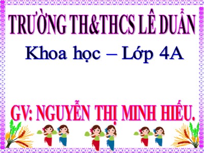 Bài giảng Khoa học Lớp 4 - Bài 45: Ánh sáng - Nguyễn Thị Minh Hiếu