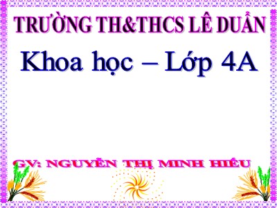 Bài giảng Khoa học Lớp 4 - Bài 66: Chuỗi thức ăn trong tự nhiên - Nguyễn Thị Minh Hiếu