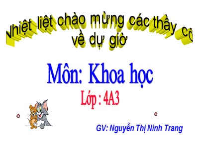 Bài giảng Khoa học Lớp 4 - Bài 9: Sử dụng hợp lí các chất béo và muối ăn - Nguyễn Thị Ninh Trang