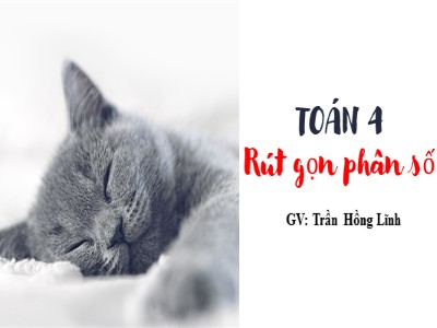 Bài giảng Toán Lớp 4 - Bài 101: Rút gọn phân số - Trần Hồng Lĩnh