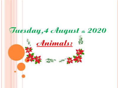 Bài giảng Tiếng anh Lớp 4 (Chương trình thí điểm) - Unit 16: Zoo animals - Năm học 2020-2021