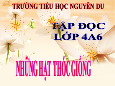 Bài giảng Tập đọc Lớp 4 - Tuần 5: Những hạt thóc giống - Trường Tiểu học Nguyễn Du