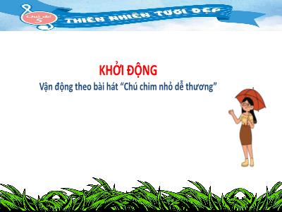 Bài giảng Âm nhạc Lớp 4 (Kết nối tri thức) - Chủ đề 5: Thiên nhiên tươi đẹp - Tiết 20: Hát: Hạt mưa kể chuyện; Ôn đọc nhạc: Bài số 3
