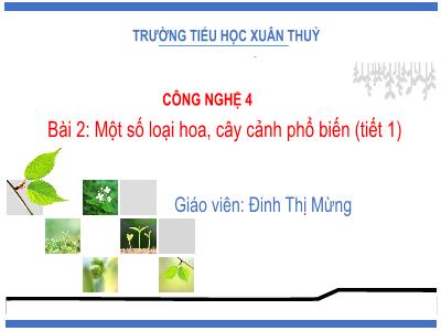 Bài giảng Công nghệ Lớp 4 - Bài 2: Một số loại hoa, cây cảnh phổ biến (Tiết 1) - Đinh Thị Mừng