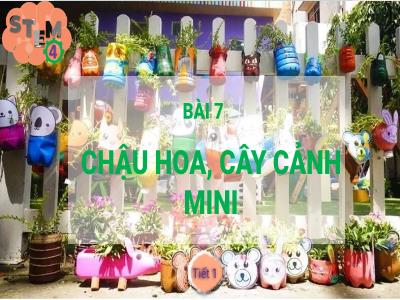 Bài học STEM Lớp 4 - Bài 7: Chậu hoa, cây cảnh mini (Tiết 1)