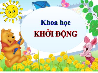 Bài giảng Khoa học Lớp 4 - Bài: Âm thanh trong cuộc sống (Tiếp theo) - Năm học 2022-2023 - Lê Thị Hồng Hạnh