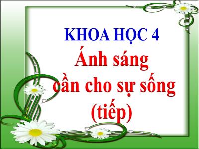 Bài giảng Khoa học Lớp 4 - Bài: Ánh sáng cần cho sự sống (Tiếp) - Năm học 2022-2023 - Đặng Thị Xuân