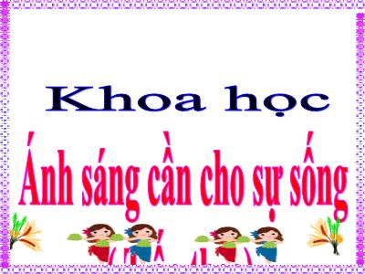 Bài giảng Khoa học Lớp 4 - Bài: Ánh sáng cần cho sự sống (Tiếp theo) - Năm học 2022-2023 - Lê Thị Hồng Hạnh