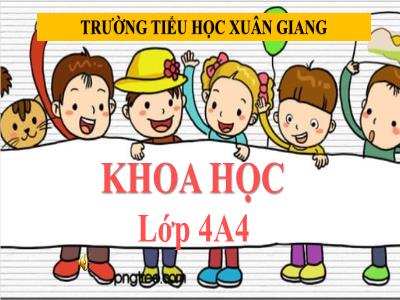 Bài giảng Khoa học Lớp 4 - Bài: Ánh sáng - Năm học 2021-2022 - Thiều Thị Liên