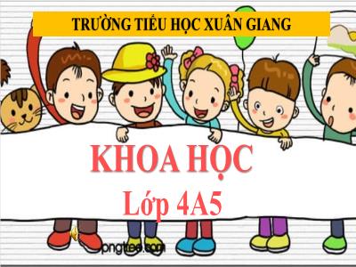 Bài giảng Khoa học Lớp 4 - Bài: Ánh sáng - Năm học 2021-2022 - Trần Thị Khánh Huyền