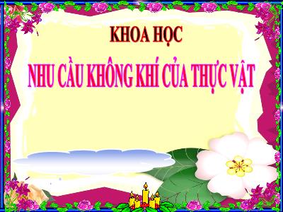 Bài giảng Khoa học Lớp 4 - Bài: Nhu cầu không khí của thực vật - Năm học 2022-2023 - Lê Thị Hằng Khánh