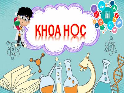 Bài giảng Khoa học Lớp 4 - Bài: Ôn tập Vật chất và năng lượng - Năm học 2022-2023 - Lê Thị Hồng Hạnh