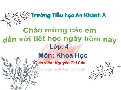 Bài giảng Khoa học Lớp 4 - Bài: Trao đổi chất ở người (Tiếp theo) - Năm học 2021-2022 - Nguyễn Thị Cần