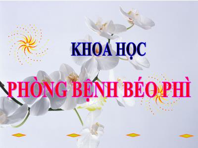 Bài giảng Khoa học Lớp 4 - Tuần 7, Bài 13: Phòng bệnh béo phì - Năm học 2022-2023 - Lê Thị Hồng Hạnh