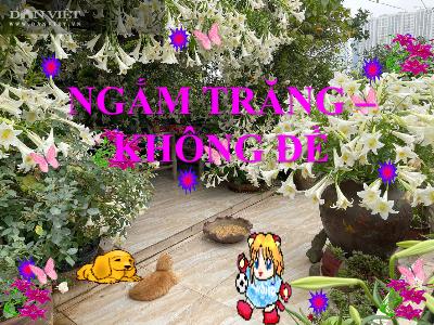 Bài giảng Tập đọc Lớp 4 - Bài: Ngắm trăng – không đề - Năm học 2022-2023 - Lê Thị Hằng Khánh