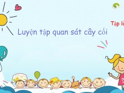 Bài giảng Tập làm văn Lớp 4 - Bài: Luyện tập quan sát cây cối - Năm học 2022-2023 - Lê Thị Hằng Khánh