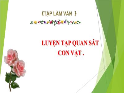 Bài giảng Tập làm văn Lớp 4 - Bài: Luyện tập quan sát con vật - Năm học 2022-2023 - Lê Thị Hồng Hạnh