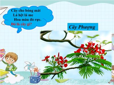 Bài giảng Tập làm văn Lớp 4 - Tuần 23, Bài: Luyện tập miêu tả các bộ phận của cây cối - Năm học 2022-2023 - Lê Thị Hồng Hạnh