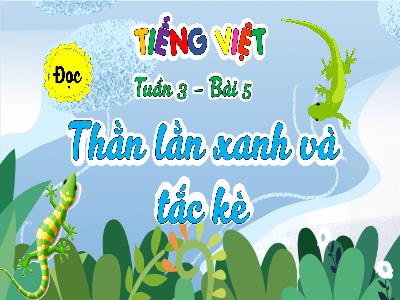Bài giảng Tiếng Việt 4 (Đọc) Sách Kết nối tri thức - Tuần 3, Bài 5: Thằn lằn xanh và tắc kè