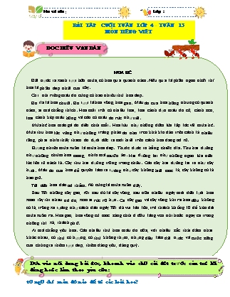 Bài tập ôn tập Tiếng Việt 4 (Kết nối tri thức) - Tuần 13