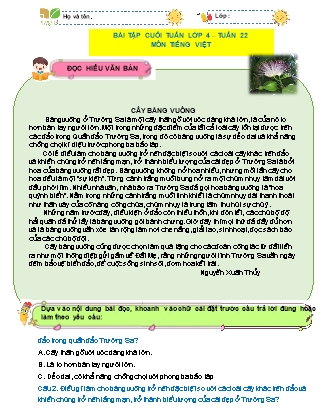 Bài tập ôn tập Tiếng Việt 4 (Kết nối tri thức) - Tuần 22