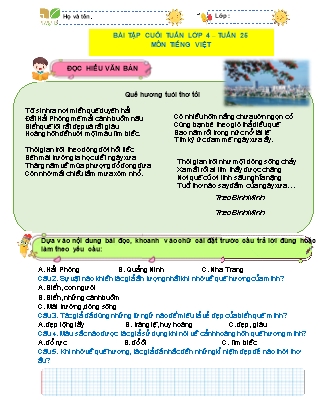 Bài tập ôn tập Tiếng Việt 4 (Kết nối tri thức) - Tuần 25