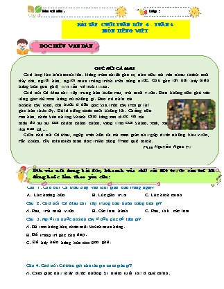 Bài tập ôn tập Tiếng Việt 4 (Kết nối tri thức) - Tuần 6