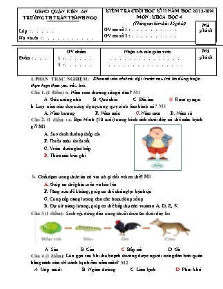 Đề kiểm tra cuối học kì II môn Khoa học 4 - Năm học 2023-2024 - Trường Tiểu học Trần Thành Ngọ (Có đáp án)