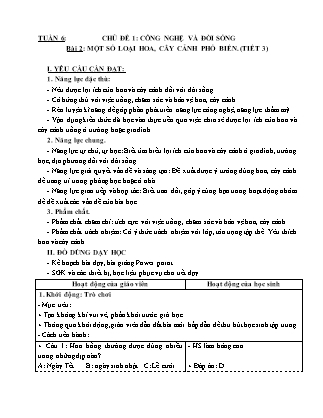 Giáo án Công nghệ 4 (Kết nối tri thức) - Chủ đề 1, Bài 2: Một số loại hoa, cây cảnh phổ biến (Tiết 3)