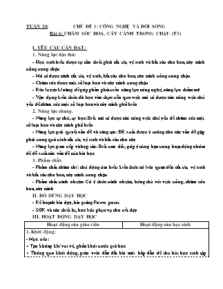 Giáo án Công nghệ 4 (Kết nối tri thức) - Tuần 20