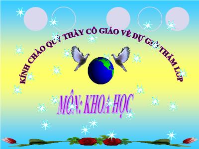 Bài giảng môn Khoa Học Lớp 4 - Tuần 3, Bài 6: Vai trò của Vitamin chất khoáng và chất xơ (GV: Hà Thị Hòa)